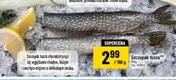Polomarket Szczupak tusza oferta