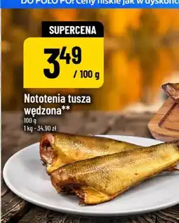 Polomarket Nototenia tusza wędzona oferta