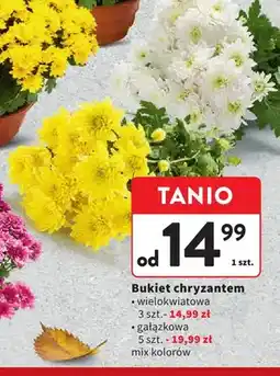 Intermarche Bukiet chryzantem wielokwiatowa oferta