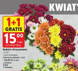 Intermarche Bukiet chryzantem oferta
