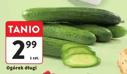 Intermarche Ogórek długi oferta