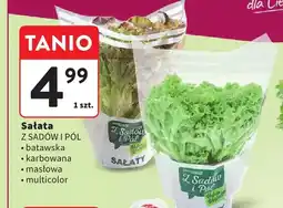 Intermarche Sałata batawska Z Sadów i Pól oferta