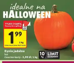 Intermarche Dynia jadalna luz oferta