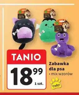 Intermarche Zabawka dla psa oferta
