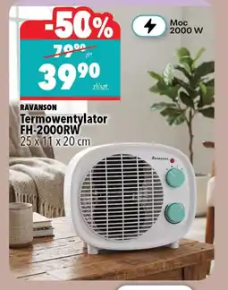 Biedronka Termowentylator Ravanson oferta