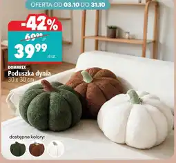 Biedronka Poduszka Domarex oferta