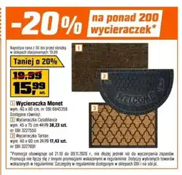 OBI Wycieraczka Monet 40x60 cm oferta