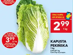 Lewiatan Kapusta Pekinska oferta