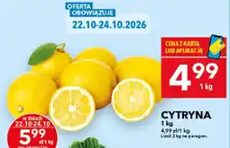 Lewiatan Cytryna oferta