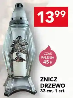 Lewiatan Znicz Drzewo oferta