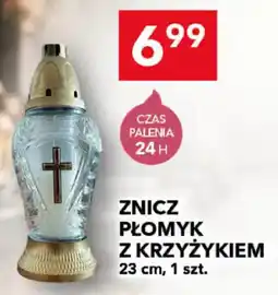 Lewiatan Znicz Płomyk z Krzyżykiem oferta