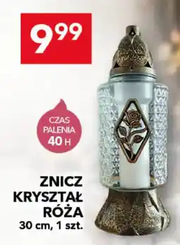 Lewiatan Znicz Kryształ Róża oferta