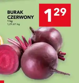 Lewiatan Burak Czerwony oferta