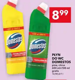 Lewiatan Płyn do WC Domestos oferta