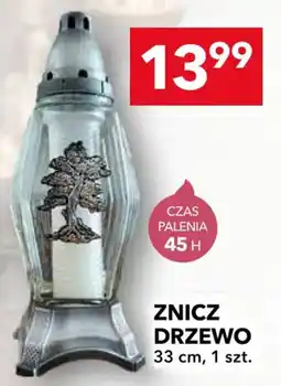 Lewiatan Znicz Drzewo oferta