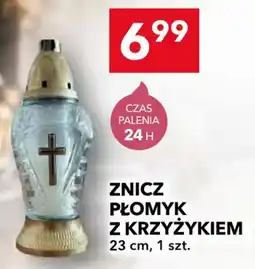 Lewiatan Znicz Płomyk z Krzyżykiem oferta