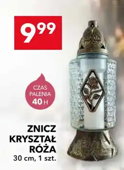 Lewiatan Znicz Kryształ Róża oferta