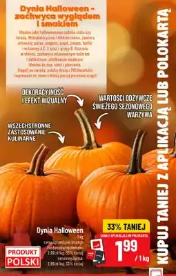 Polomarket Dynia Halloween oferta