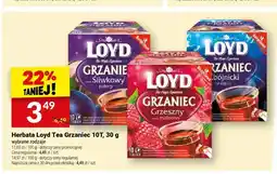 Twój Market Herbata Loyd Tea Grzaniec śliwkowy palony oferta