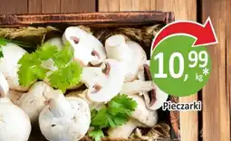Sklepy S Pieczarki oferta