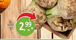 Sklepy S Seler oferta