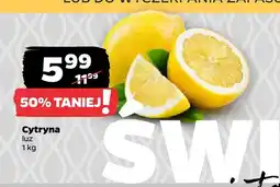 Netto Cytryny luzem oferta