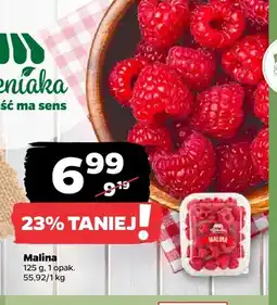 Netto Maliny oferta