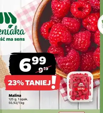 Netto Maliny oferta