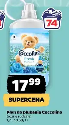 Netto Płyn do płukania Coccolino oferta