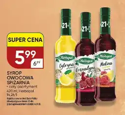 Chata Polska Syrop Owocowa Spiżarnia Herbapol oferta