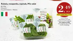 Market Point Mix sałat Ortoromi oferta