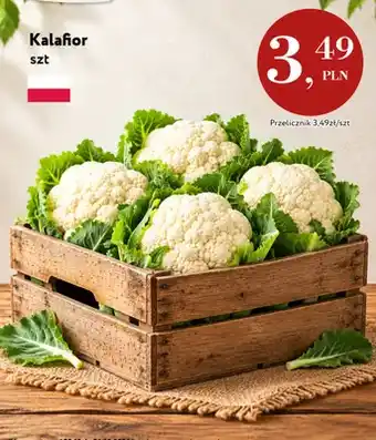 Kalafior