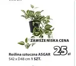 JYSK Roślina sztuczna Asgar oferta