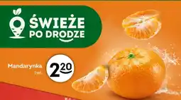 Żabka Mandarynka oferta