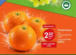 Żabka Pomarańcza oferta