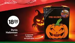 Żabka Dynia Halloween oferta