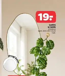 Netto Lustro w ramie oferta
