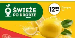 Żabka Cytryny oferta
