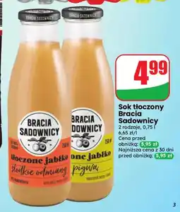 Dino Sok tłoczony Bracia Sadownicy jabłko słodkie odmiany oferta