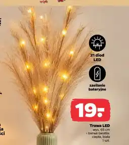 Netto Trawa LED oferta