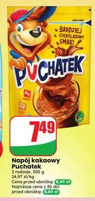 Dino Napój kakaowy Puchatek oferta