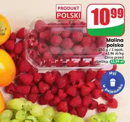 Dino Maliny polskie oferta