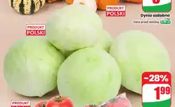Dino Kapusta biała oferta