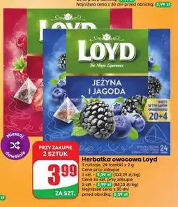 Dino Herbatka owocowa Loyd oferta