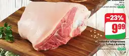 Dino Golonka wieprzowa tylna z kością oferta