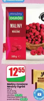 Dino Maliny mrożone Mroźny Ogród oferta