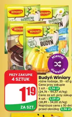 Dino Budyń Winiary oferta