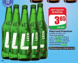 Dino Piwo Lech Premium oferta