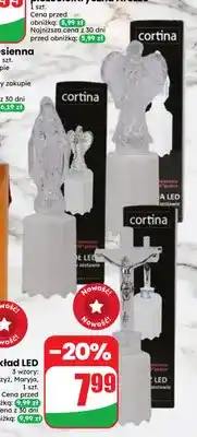 Dino Wkład LED anioł Cortina oferta