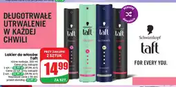 Dino Lakier do włosów Taft oferta